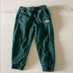 ⚫️ Zara ⚫️ Beyond Happy Kids Green Jogger Pants